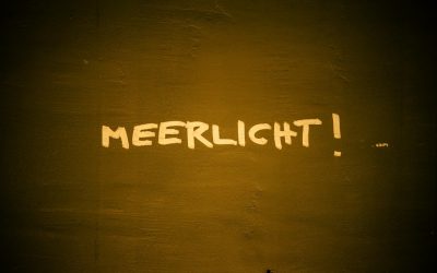 Pell Grants vs. SNAP Benefits: Which Government Program Puts More Money in Your Pocket