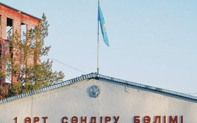 Government Grants & Benefits: The 14-Day Window That Determines 89% of Application Outcomes